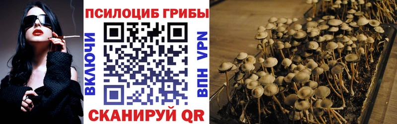 Галлюциногенные грибы мухоморы  Новоузенск 